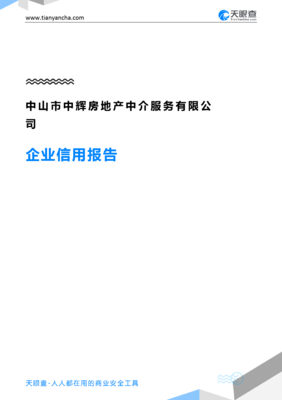 中山市中輝房地產(chǎn)中介服務(wù)(企業(yè)信用報告)- 天眼查